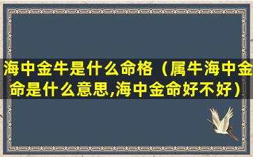 海中金牛是什么命格（属牛海中金命是什么意思,海中金命好不好）