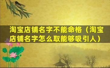 淘宝店铺名字不能命格（淘宝店铺名字怎么取能够吸引人）