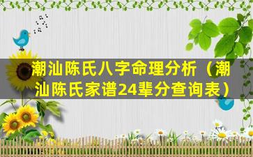 潮汕陈氏八字命理分析（潮汕陈氏家谱24辈分查询表）