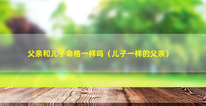 父亲和儿子命格一样吗（儿子一样的父亲）