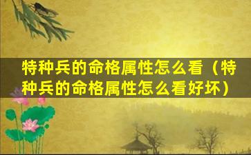 特种兵的命格属性怎么看（特种兵的命格属性怎么看好坏）