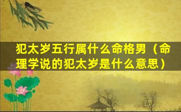 犯太岁五行属什么命格男（命理学说的犯太岁是什么意思）