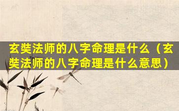 玄奘法师的八字命理是什么（玄奘法师的八字命理是什么意思）