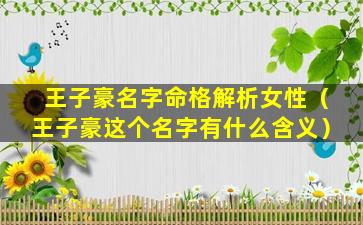 王子豪名字命格解析女性（王子豪这个名字有什么含义）