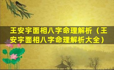 王安宇面相八字命理解析（王安宇面相八字命理解析大全）