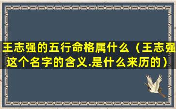 王志强的五行命格属什么（王志强这个名字的含义.是什么来历的）