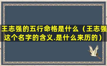 王志强的五行命格是什么（王志强这个名字的含义.是什么来历的）