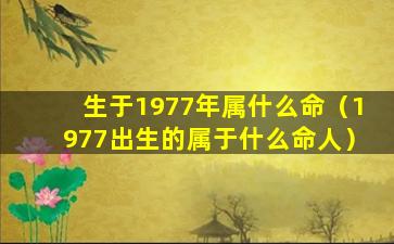 生于1977年属什么命（1977出生的属于什么命人）