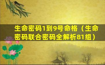 生命密码1到9号命格（生命密码联合密码全解析81组）