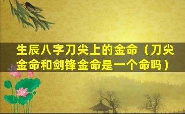 生辰八字刀尖上的金命（刀尖金命和剑锋金命是一个命吗）