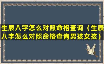 生辰八字怎么对照命格查询（生辰八字怎么对照命格查询男孩女孩）