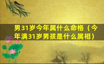 男31岁今年属什么命格（今年满31岁男孩是什么属相）