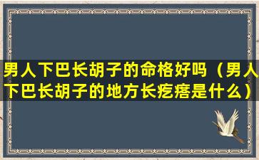 男人下巴长胡子的命格好吗（男人下巴长胡子的地方长疙瘩是什么）