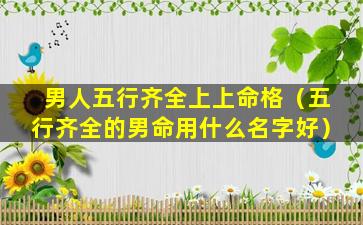 男人五行齐全上上命格（五行齐全的男命用什么名字好）