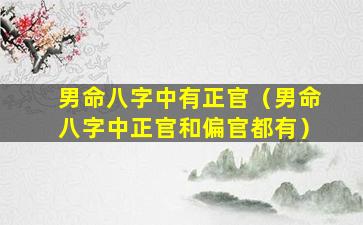 男命八字中有正官（男命八字中正官和偏官都有）