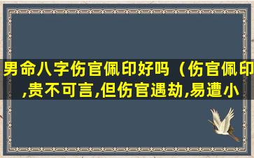 男命八字伤官佩印好吗（伤官佩印,贵不可言,但伤官遇劫,易遭小人陷害）