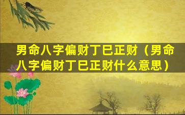 男命八字偏财丁巳正财（男命八字偏财丁巳正财什么意思）