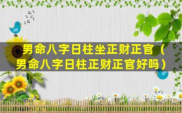 男命八字日柱坐正财正官（男命八字日柱正财正官好吗）