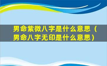 男命紫微八字是什么意思（男命八字无印是什么意思）