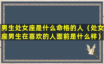 男生处女座是什么命格的人（处女座男生在喜欢的人面前是什么样）