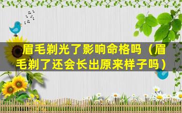 眉毛剃光了影响命格吗（眉毛剃了还会长出原来样子吗）