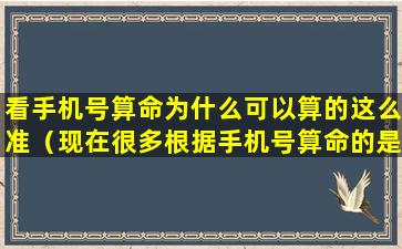 看手机号算命为什么可以算的这么准（现在很多根据手机号算命的是什么套路）