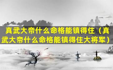 真武大帝什么命格能镇得住（真武大帝什么命格能镇得住大将军）