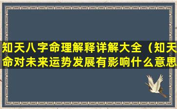 知天八字命理解释详解大全（知天命对未来运势发展有影响什么意思）