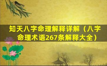 知天八字命理解释详解（八字命理术语267条解释大全）