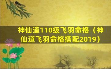 神仙道110级飞羽命格（神仙道飞羽命格搭配2019）