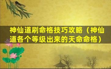 神仙道刷命格技巧攻略（神仙道各个等级出来的天命命格）