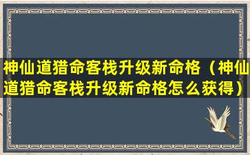 神仙道猎命客栈升级新命格（神仙道猎命客栈升级新命格怎么获得）