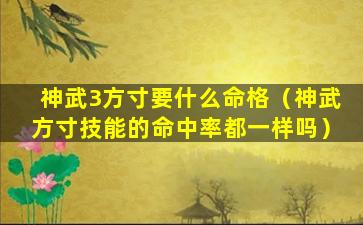 神武3方寸要什么命格（神武方寸技能的命中率都一样吗）