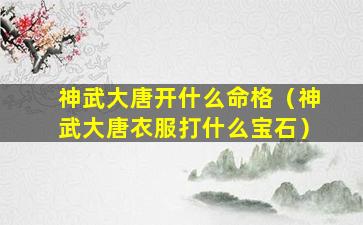 神武大唐开什么命格（神武大唐衣服打什么宝石）