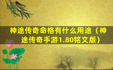 神途传奇命格有什么用途（神途传奇手游1.80铭文版）