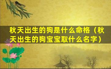 秋天出生的狗是什么命格（秋天出生的狗宝宝取什么名字）