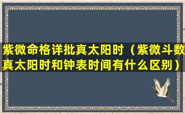 紫微命格详批真太阳时（紫微斗数真太阳时和钟表时间有什么区别）