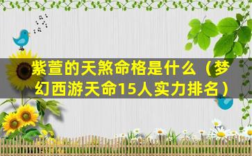 紫萱的天煞命格是什么（梦幻西游天命15人实力排名）