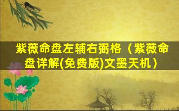 紫薇命盘左辅右弼格（紫薇命盘详解(免费版)文墨天机）