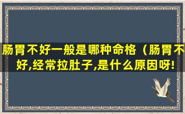 肠胃不好一般是哪种命格（肠胃不好,经常拉肚子,是什么原因呀!）