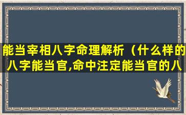 能当宰相八字命理解析（什么样的八字能当官,命中注定能当官的八字）