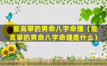 能高攀的男命八字命理（能高攀的男命八字命理是什么）