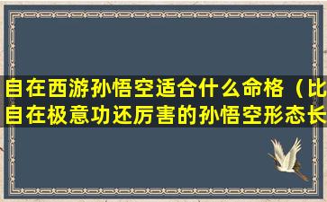 自在西游孙悟空适合什么命格（比自在极意功还厉害的孙悟空形态长什么样）