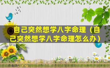 自己突然想学八字命理（自己突然想学八字命理怎么办）