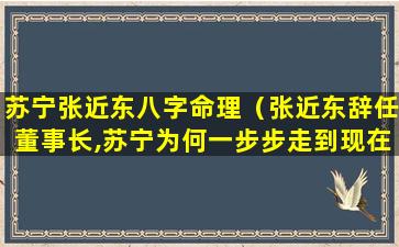 苏宁张近东八字命理（张近东辞任董事长,苏宁为何一步步走到现在）