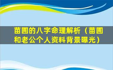 苗圃的八字命理解析（苗圃和老公个人资料背景曝光）