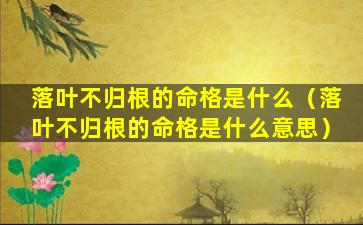 落叶不归根的命格是什么（落叶不归根的命格是什么意思）