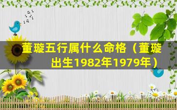 董璇五行属什么命格（董璇出生1982年1979年）