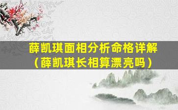 薛凯琪面相分析命格详解（薛凯琪长相算漂亮吗）