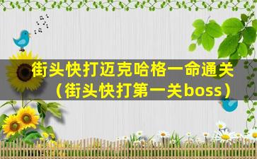 街头快打迈克哈格一命通关（街头快打第一关boss）